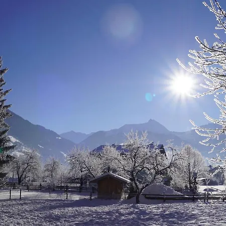 Haus Schwaiger Apartmán *