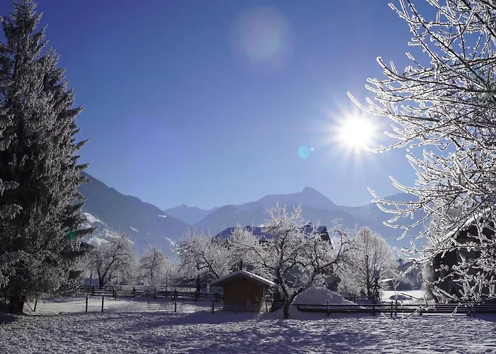 Haus Schwaiger Apartment *